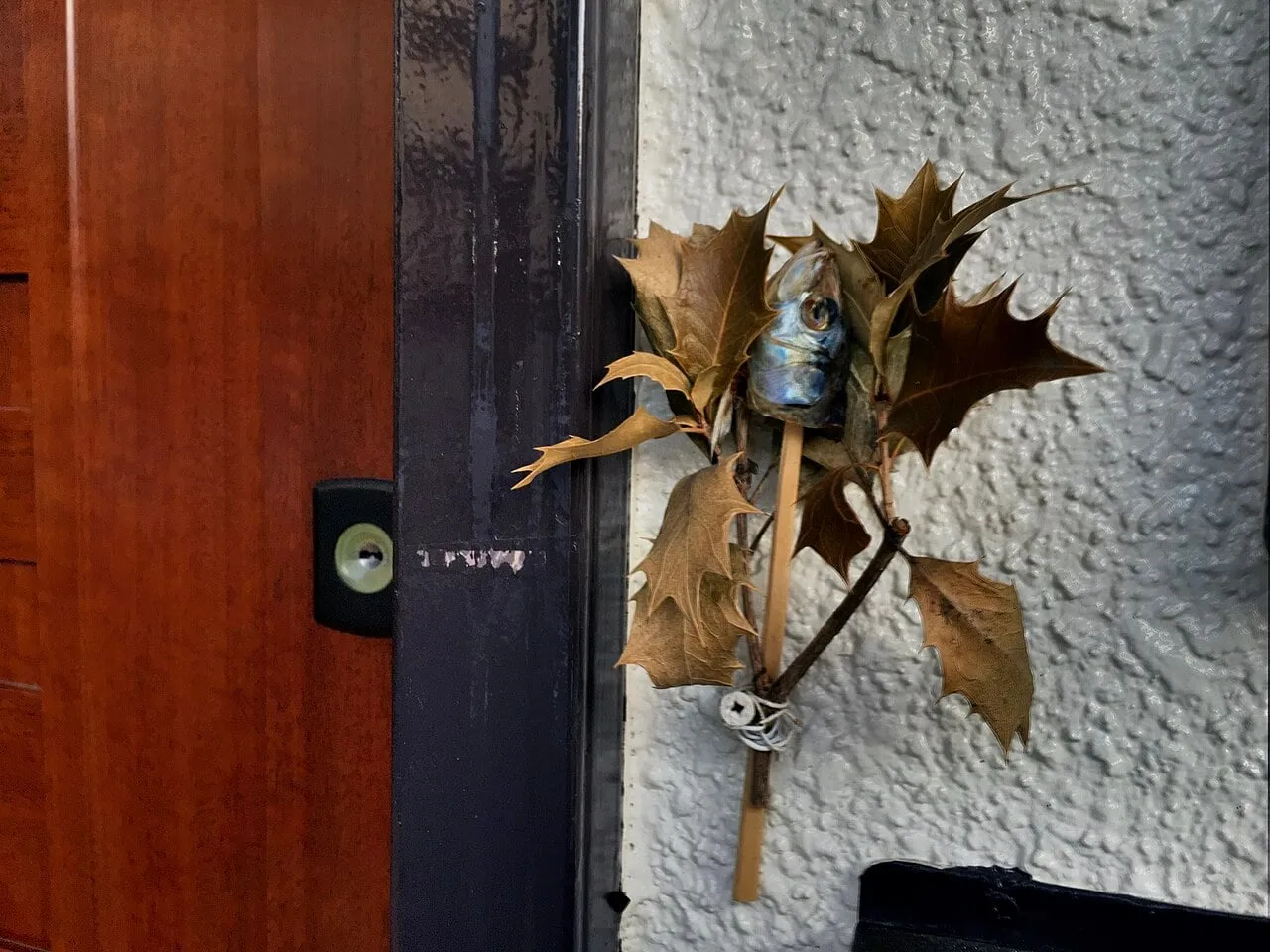 A dried sprig of holly with a small fish head tied to it, fixed beside a front door.