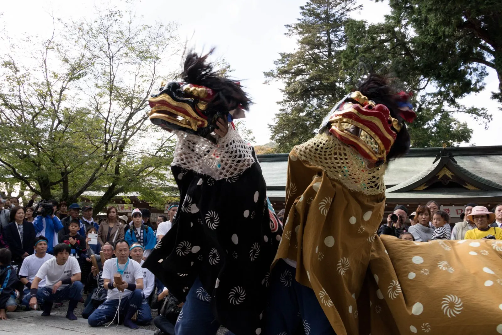 Two lions with large black and gold heads dance in front of a crowd in the shrine grounds.