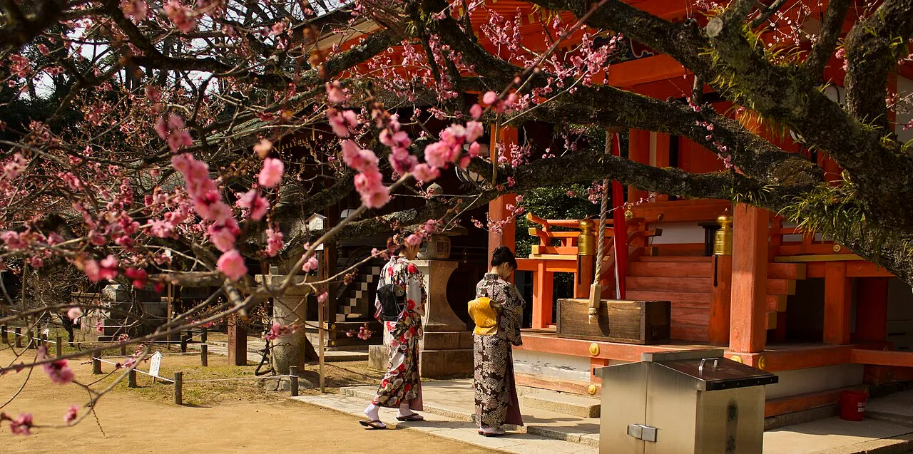 Pink plum blossoms frame two women in kimono praying at a vermilion shrine building.