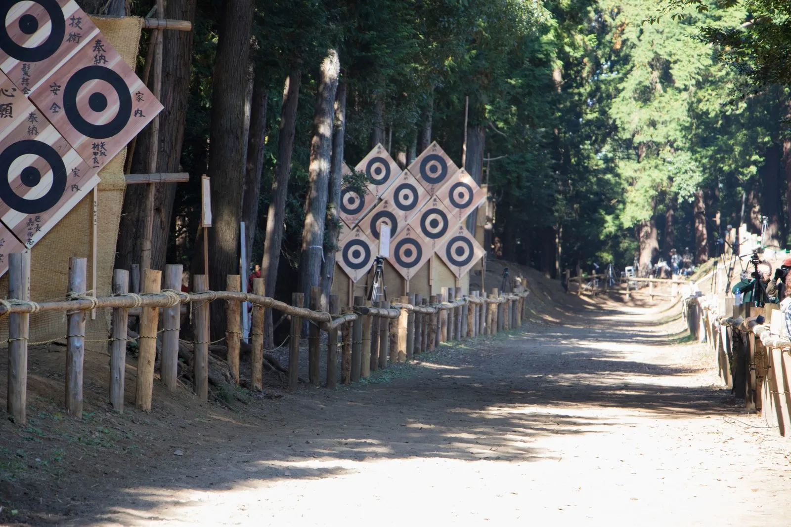 A straight dirt track through a cedar forest, with painted archery targets on posts beside it.