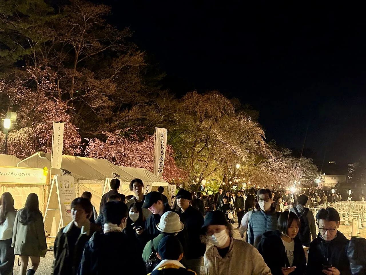 Crowds walk under cherry trees lit at night, past food stalls in a castle park.