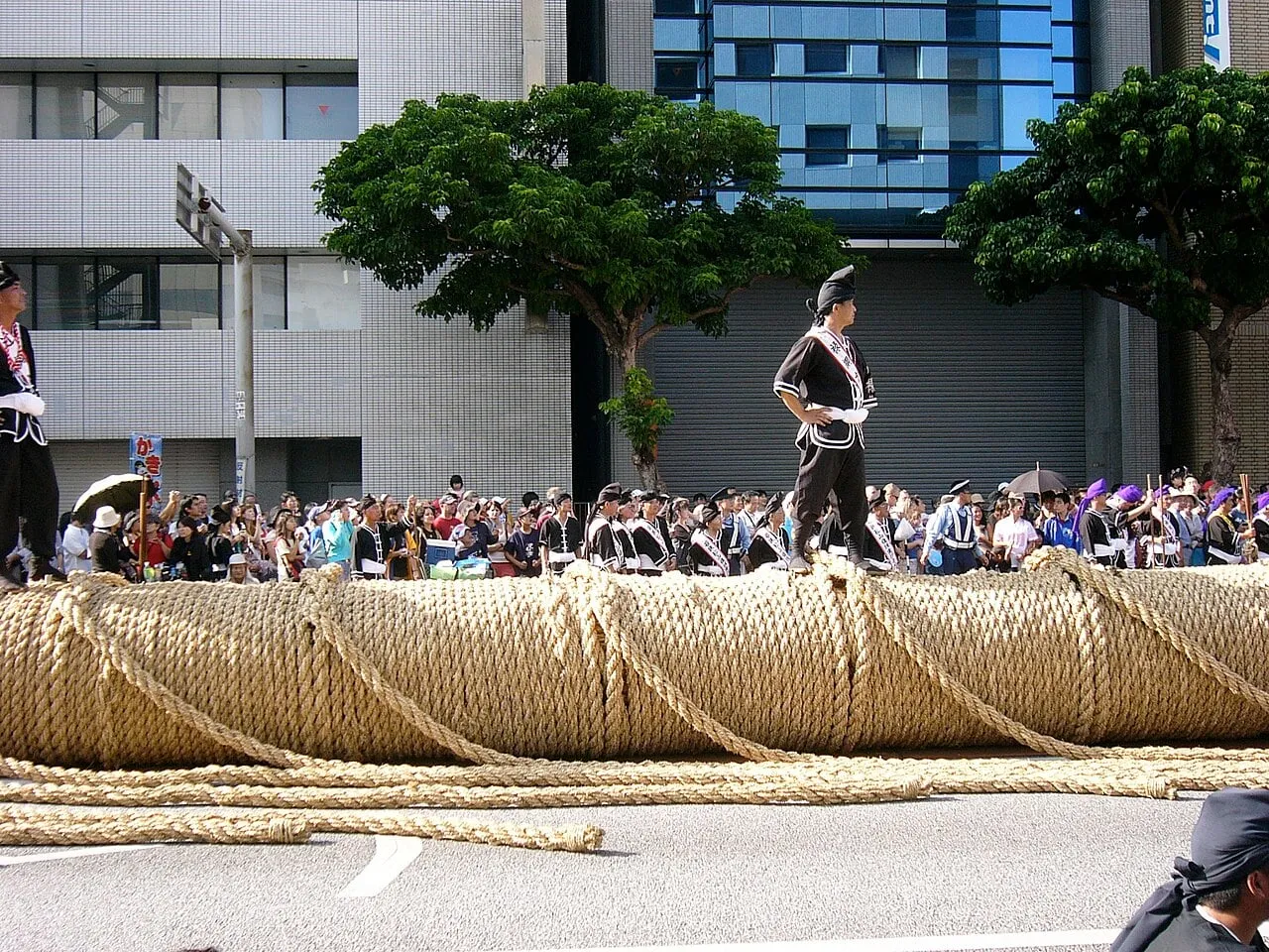 A huge rope of rice straw, as tall as a person, lies along a city street with crowds behind.