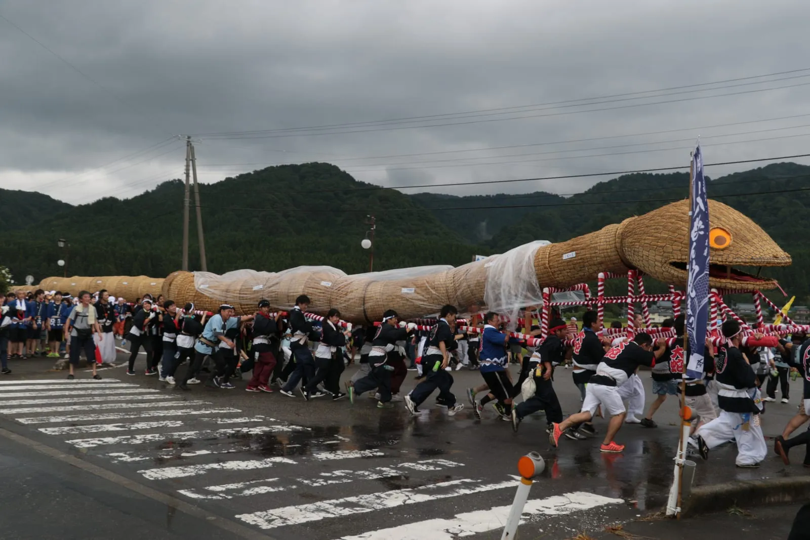 A huge straw-and-bamboo snake with an open-mouthed head is carried through a street by a long line of people.